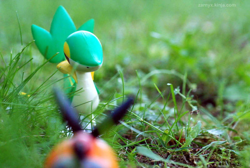 Illustration for article titled Pokémon (OH) Snap!: Hiding in the Tall Grass...(Part I)